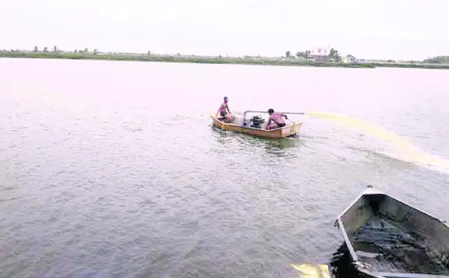ఆక్వా