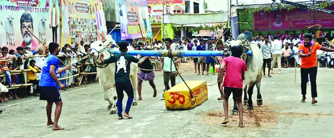 అమోఘం