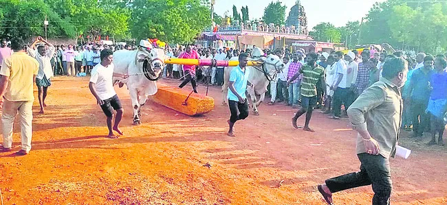 ఉత్సాహంగా  ఎడ్ల బండలాగుడు పోటీలు 