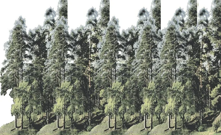 Number of trees across the country Rajasthan tops list of growth