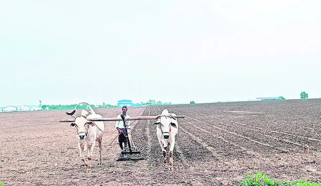 కౌలు రైతులకు సాయమేది..?