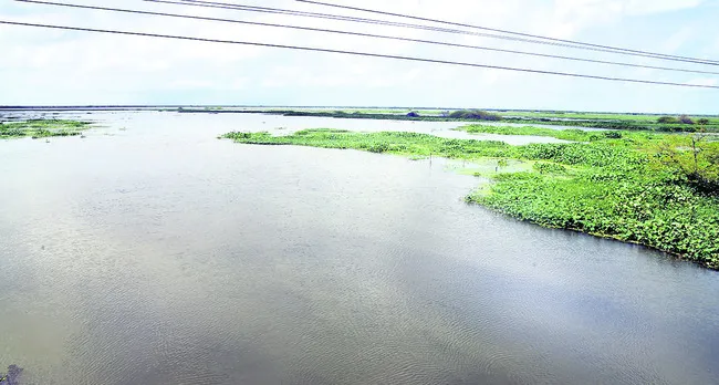 కొల్లేరు అధ్యయనానికి కేంద్ర కమిటీ 