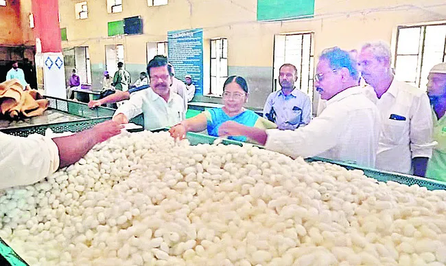 పట్టుగూళ్ల కేంద్రాన్ని పరిశీలించిన జేడీ 