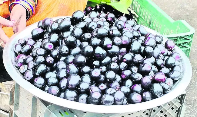 పోషకాల రేడు.. నేరేడు