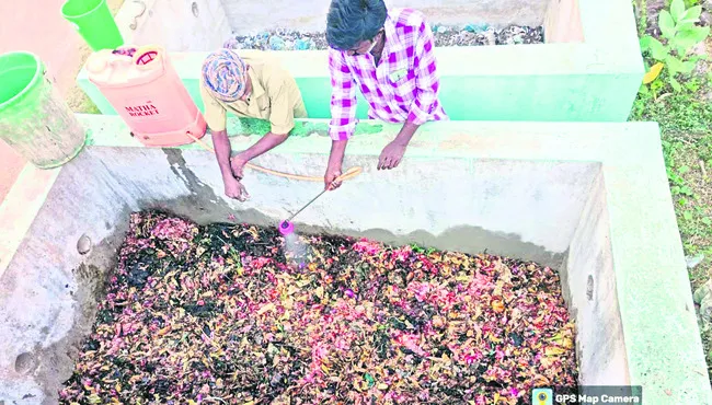 ఎకోలి
