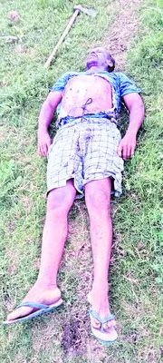 పిడుగ