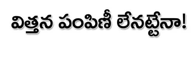 పల్నా