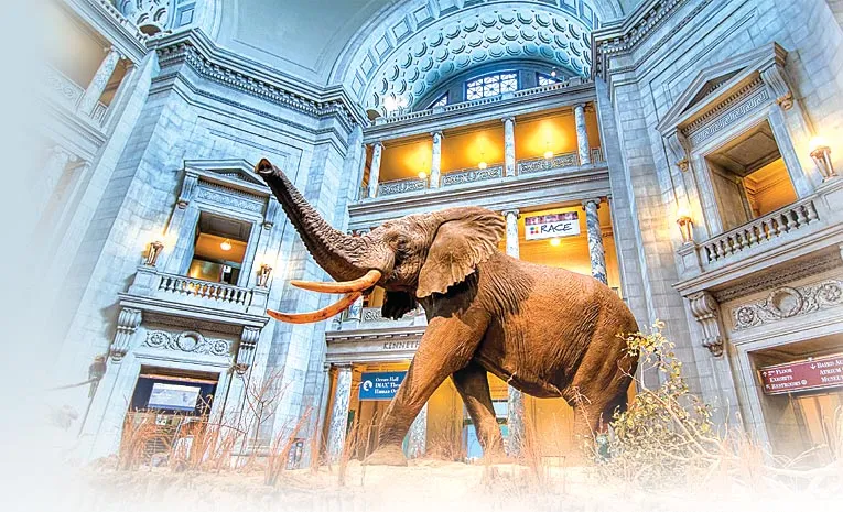 9 Museums Where You Can Spend the Night