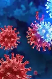 Covid-19 Positive Cases Increased In India8