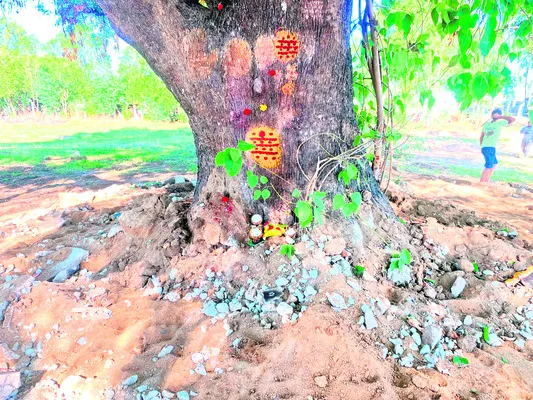 ● వైఎ