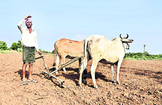 చినుకు జాడేది!