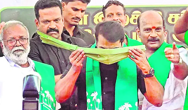 తాటి
