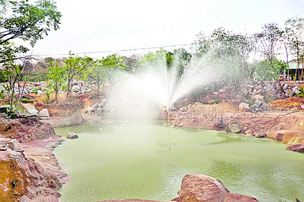 వైవిధ