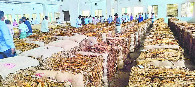 రూ.495 కోట్ల పొగాకు విక్రయాలు