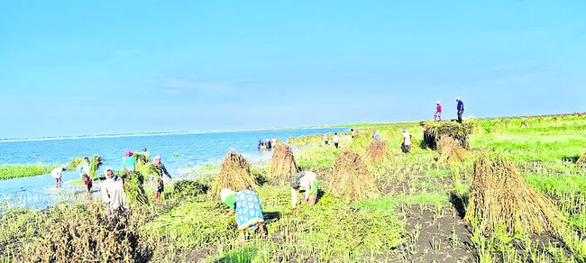కృష్ణ