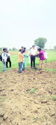 విజయా