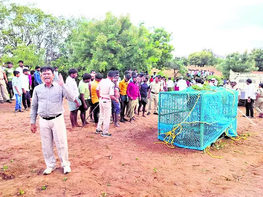 కోసిగ