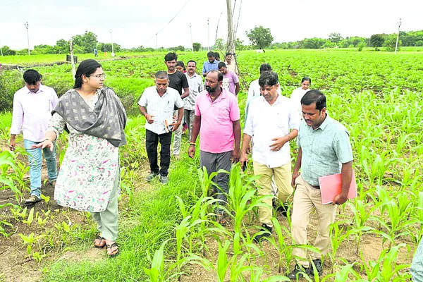ఏడాదిలో ఎన్నో.. చేయాల్సినవి మరెన్నో..