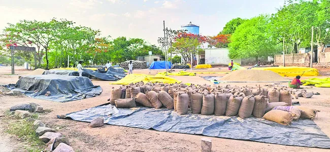 బోనస్