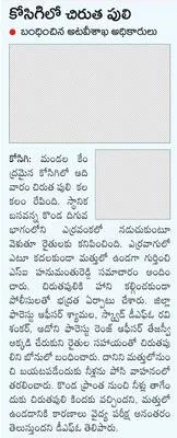 శ్రీశ