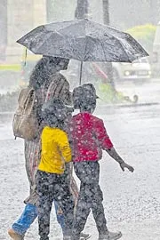 moderate rainfall in next 3 days: Telangana8