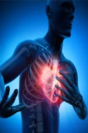 How bee stings can trigger heart attacks unknown facts8