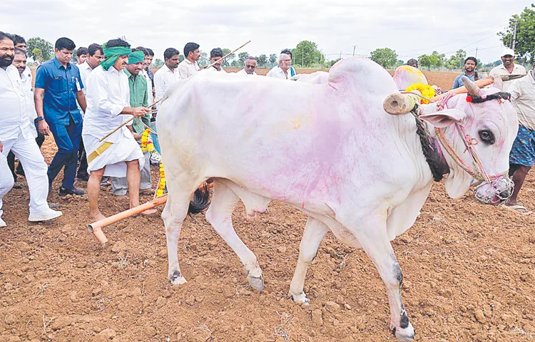 Land issues to be resolved by August 15th 12