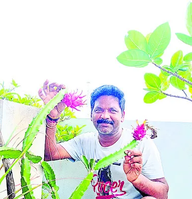 ● కదంబ పుష్పార్చన 