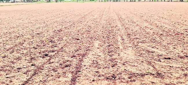 జాడ ల