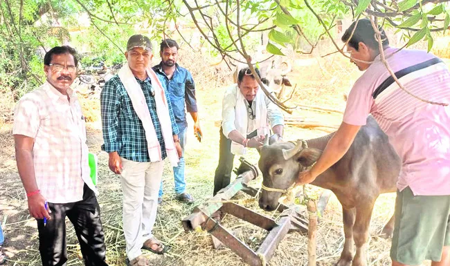 సంక్షిప్తం