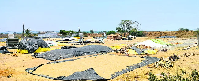 బోనస్