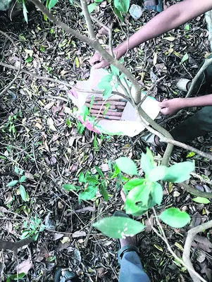 ఉదయగిరి దుర్గంపై పేలుడు సామగ్రి
