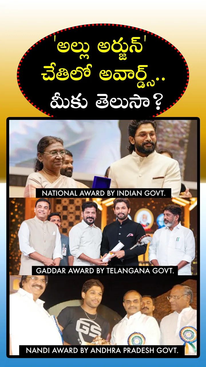 'అల్లు అర్జున్‌' చేతిలో అవార్డ్స్
