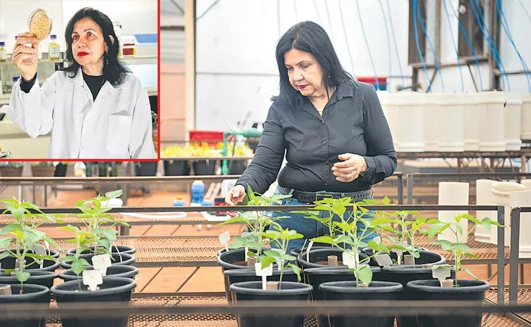 SAGUBADI: Dr. Mariangela Hungria developed dozens of biological seed and soil treatments1