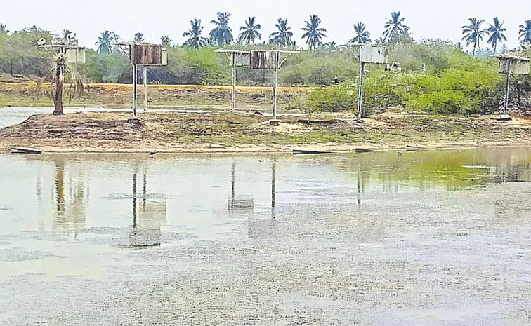 pollution of water in Kolleru Lake