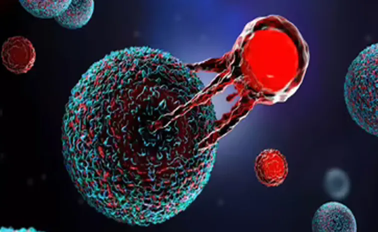 Cancer Risk ఈ  ఫుడ్స్‌తో ముప్పే..!డాక్టర్‌  వార్నింగ్‌