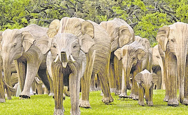 Great Elephant Migration becomes one of largest outdoor art installations ever