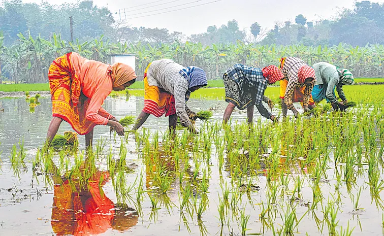 రైతాంగం కష్టాలు కొనసాగాల్సిందేనా!
