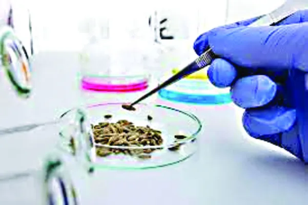 నాణ్యత పరీక్షలపై నీలినీడలు