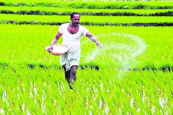 యూరియా కోటాలో కోత!
