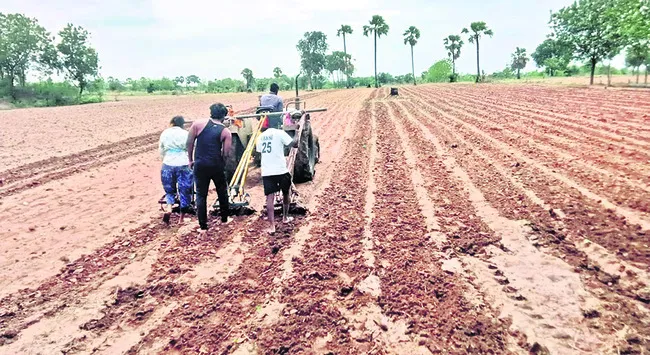 ఒక ట్రాక్టర్.. మూడు గుంటుకలు