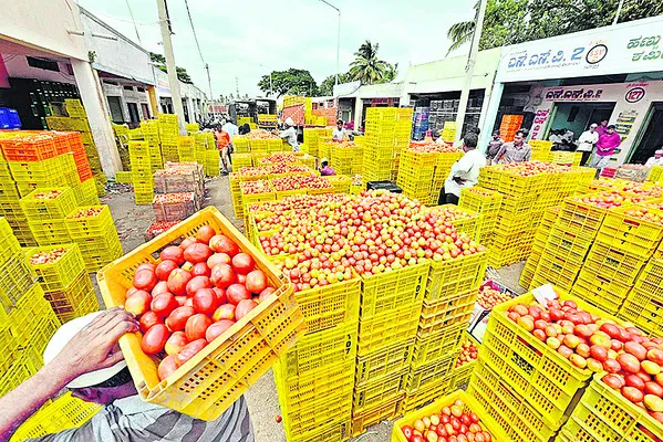 అదే పట్టుగూళ్లు, టమాటాలకు ఏడాదంతా సీజనే 