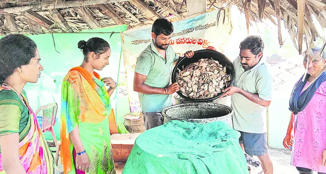 చేనుక