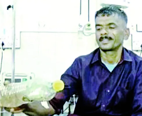కాటేస