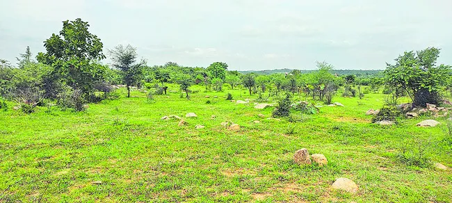 స్వాధీనంలో ఉన్నా.. భరోసా సున్నా