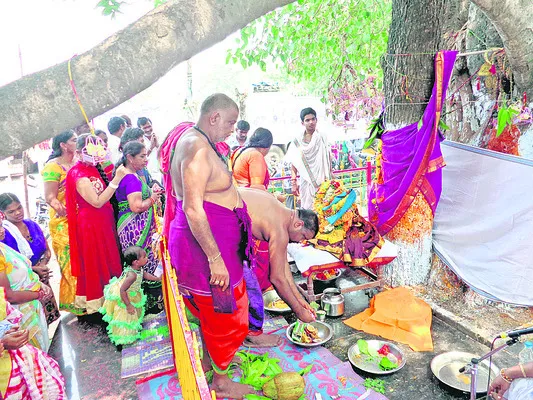 విష క