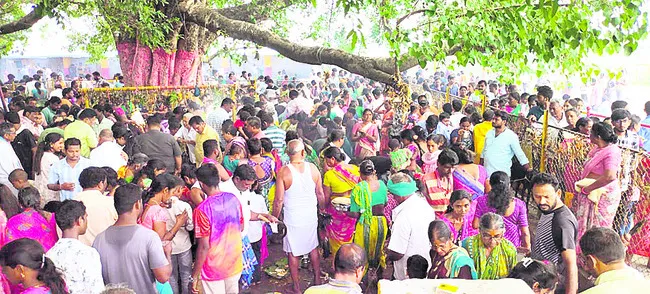 వెల్లుల ఎల్లమ్మకు బోనాలు