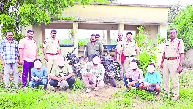 గంజాయ
