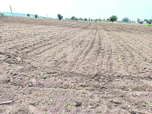 సర్వే