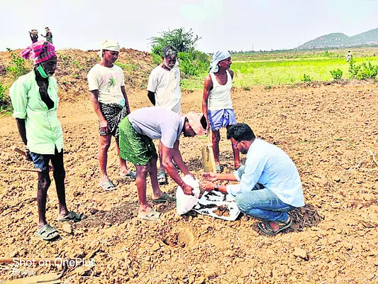 నేలకు